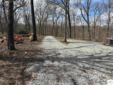 Discover your own slice of paradise with this stunning 54.9-acre - photo 39