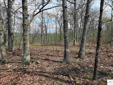 Discover your own slice of paradise with this stunning 54.9-acre - photo 41