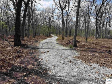 Discover your own slice of paradise with this stunning 54.9-acre - photo 42