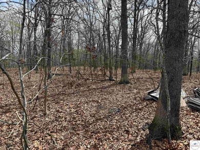 Discover your own slice of paradise with this stunning 54.9-acre - photo 44