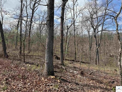 Discover your own slice of paradise with this stunning 54.9-acre - photo 49