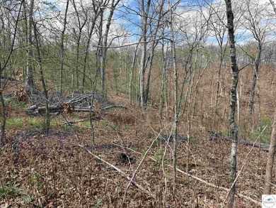 Discover your own slice of paradise with this stunning 54.9-acre - photo 50