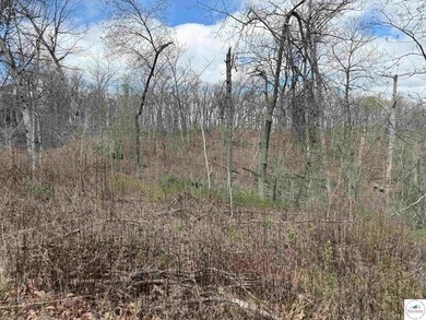 Discover your own slice of paradise with this stunning 54.9-acre - photo 51