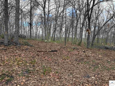 Discover your own slice of paradise with this stunning 54.9-acre - photo 54