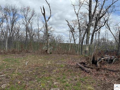 Discover your own slice of paradise with this stunning 54.9-acre - photo 59