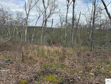 Discover your own slice of paradise with this stunning 54.9-acre - photo 60