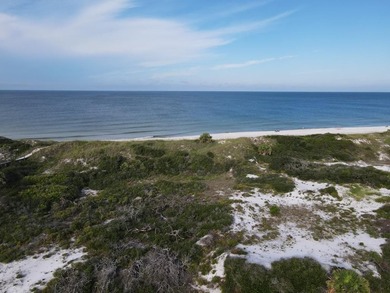Breathtaking GULF FRONT Offering over 100' of frontage and 2.7 - photo 6