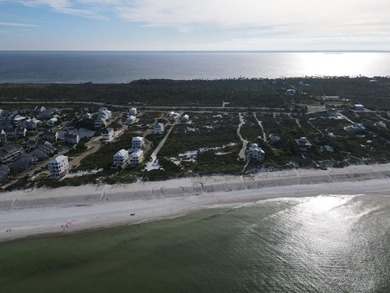 Breathtaking GULF FRONT Offering over 100' of frontage and 2.7 - photo 8
