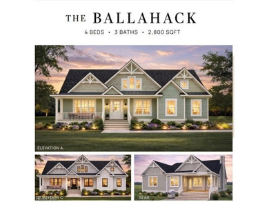 Introducing The Ballahack, a thoughtfully designed new - photo 1