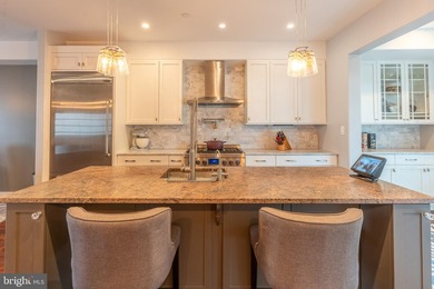 Experience the best of Manayunk living in this extraordinary - photo 8