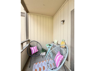 Beautifully renovated 2-bedroom, 2-bath condo located just - photo 12