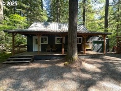 Wouldn't you love to have a cabin with a garage? Here it is! - photo 18