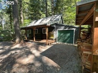 Wouldn't you love to have a cabin with a garage? Here it is! - photo 20