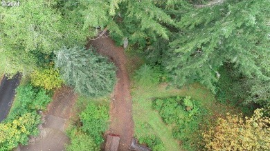 Lake Lot For Sale in Birkenfeld, Oregon