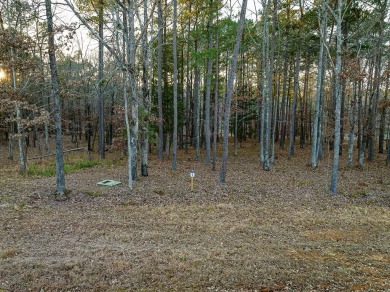 Lake Lot For Sale in Huntingdon, Tennessee