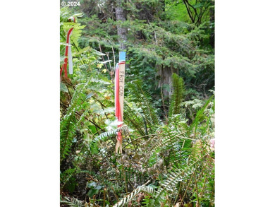 Have you been dreaming of finding a serene and tranquil retreat - photo 7