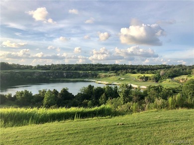 Black Diamond Ranch is a dream location for those seeking a - photo 47
