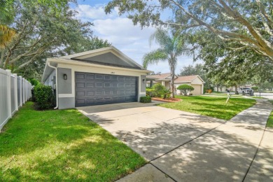 Lake Home For Sale in Riverview, Florida