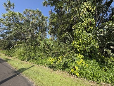 Located in the desirable Hawaiian Shores Recreational Estates - photo 3