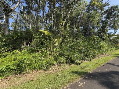 Located in the desirable Hawaiian Shores Recreational Estates - photo 4
