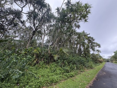 Located in the desirable Hawaiian Shores Recreational Estates - photo 8