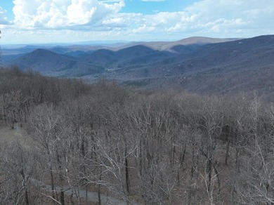 Lake Tamarack Acreage For Sale in Jasper Georgia