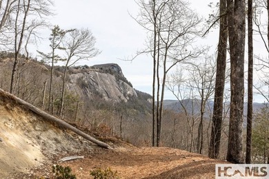 Completed in 2021, this thoughtfully designed mountain home - photo 22