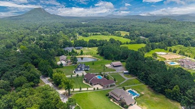 Nestled on nearly two private acres this one-of-a-kind estate - photo 4