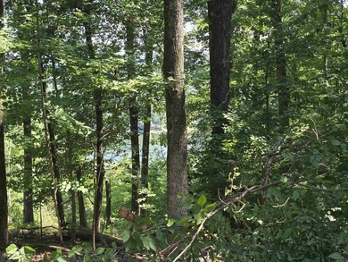Imagine building your dream home on a premium lot that offers - photo 1