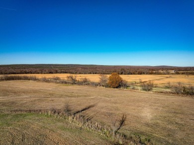 (private lake, pond, creek) Acreage For Sale in Blanco Oklahoma
