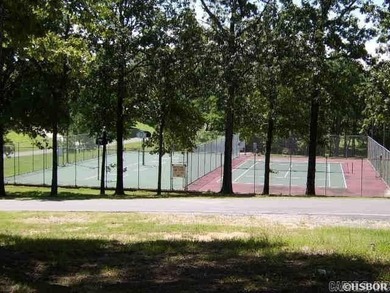 Imagine building your dream home on a premium lot that offers - photo 3