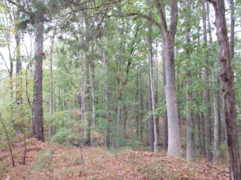 Wooded Lot on Lake Wateree in Kershaw County. - Lake Lot For Sale in Ridgeway, South Carolina