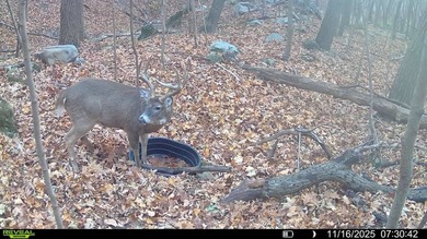 Built for whitetails, waterfowl, and life on the river, this 6 - photo 11