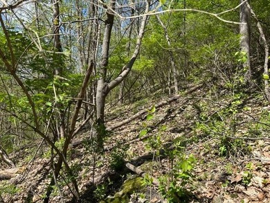 Built for whitetails, waterfowl, and life on the river, this 6 - photo 12