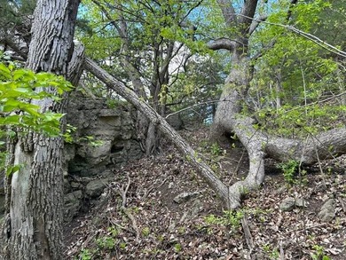 Built for whitetails, waterfowl, and life on the river, this 6 - photo 14