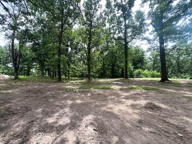 Peaceful 2.5-Acre Retreat Near the Lake!Nestled on 2.5 beautiful - photo 6