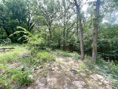 Peaceful 2.5-Acre Retreat Near the Lake!Nestled on 2.5 beautiful - photo 7