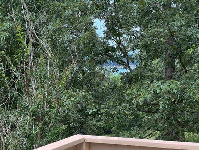 Peaceful 2.5-Acre Retreat Near the Lake!Nestled on 2.5 beautiful - photo 8