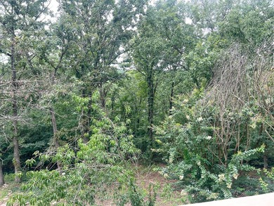 Peaceful 2.5-Acre Retreat Near the Lake!Nestled on 2.5 beautiful - photo 9