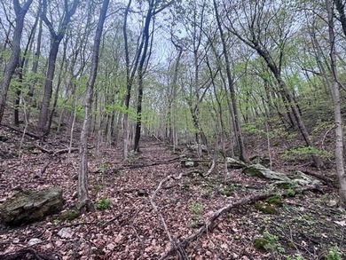 Built for whitetails, waterfowl, and life on the river, this 6 - photo 20
