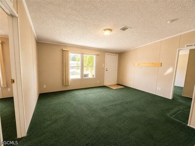 Welcome to 2501 Gail Helen Ct in North Fort Myers! This - photo 8