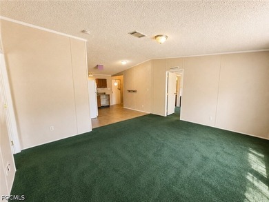Welcome to 2501 Gail Helen Ct in North Fort Myers! This - photo 9