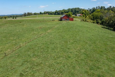 Lake Acreage For Sale in Greeneville, Tennessee