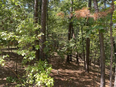 3.08 acres m/l on the quiet street of Hillside Trail in Harbor - photo 2