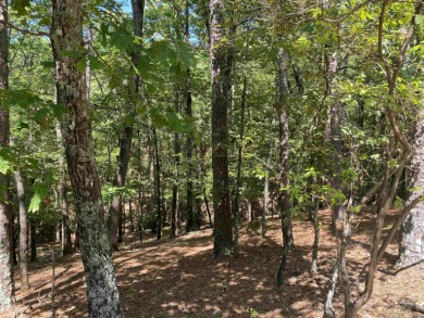 3.08 acres m/l on the quiet street of Hillside Trail in Harbor - photo 3