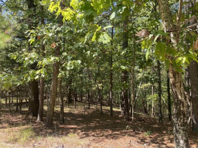 3.08 acres m/l on the quiet street of Hillside Trail in Harbor - photo 4