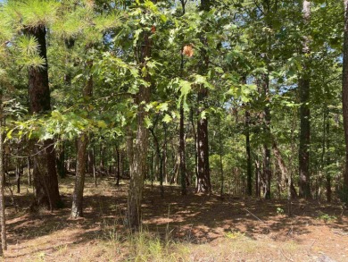 3.08 acres m/l on the quiet street of Hillside Trail in Harbor - photo 5