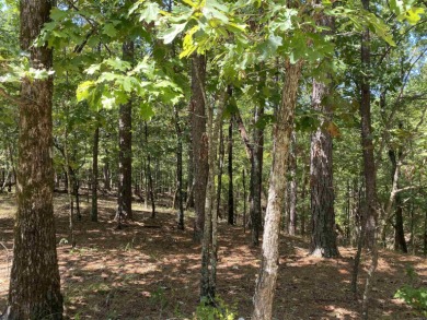 3.08 acres m/l on the quiet street of Hillside Trail in Harbor - photo 6