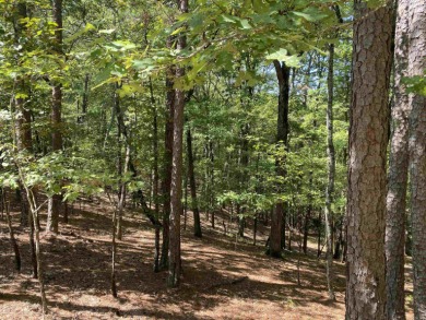 3.08 acres m/l on the quiet street of Hillside Trail in Harbor - photo 7