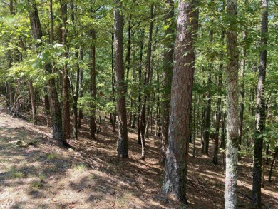 3.08 acres m/l on the quiet street of Hillside Trail in Harbor - photo 8
